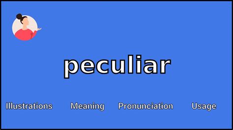 pecullar meaning|peculiar adjective .